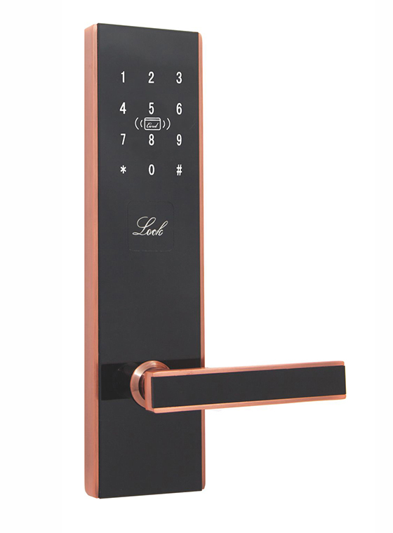 GLJ-8930LoRa無(wú)線聯(lián)網(wǎng)密碼鎖